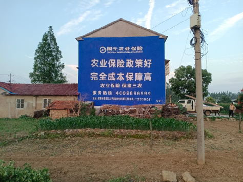 子洲墙体广告为何受追捧?